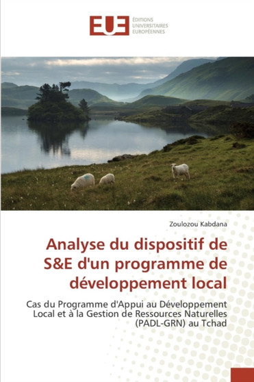 Analyse Du Dispositif de S E Dun Programme de Developpement Local