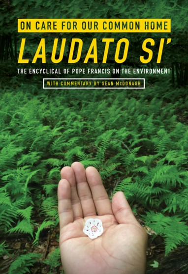 On Care for Our Common Home, Laudato Si' : The Encyclical of Pope Francis on the Environment with Commentary by Sean McDonagh
