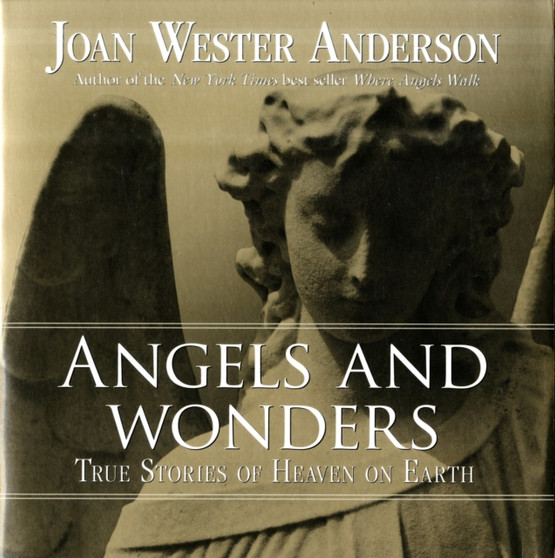 Angels and Wonders : True Stories of Heaven on Earth Angels and Wonders : True Stories of Heaven on Earth