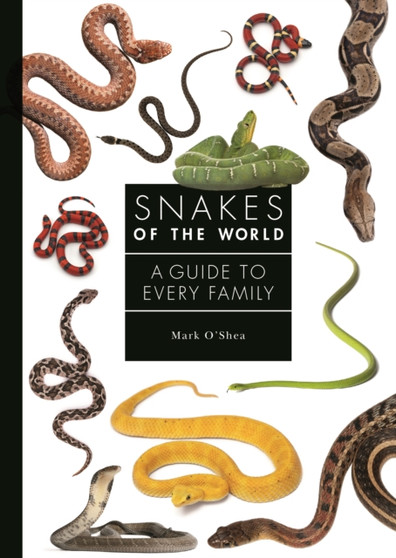 Snakes of the World : A Guide to Every Family by Mark O'Shea - Hardback