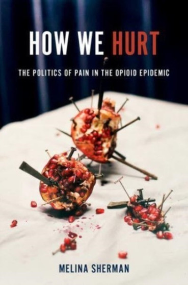 How We Hurt : The Politics of Pain in the Opioid Epidemic by Melina Sherman - Hardback