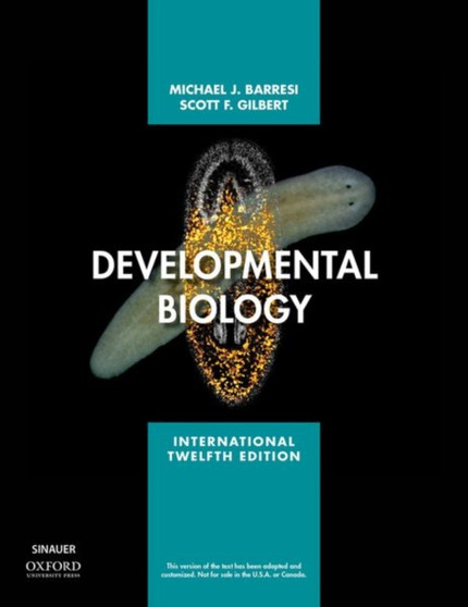 Developmental Biology by Michael J.F. Barresi - Paperback