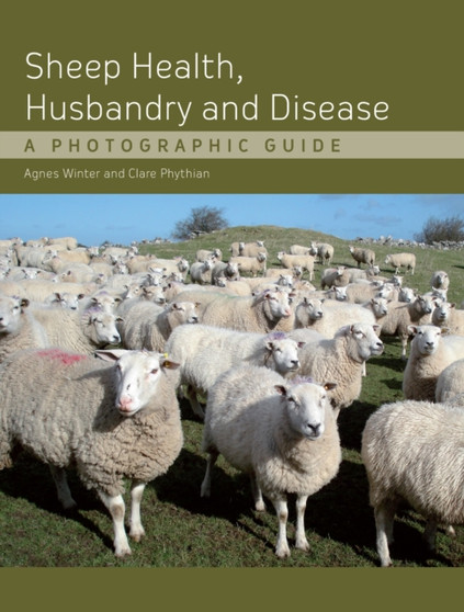 Sheep Health, Husbandry and Disease : A Photographic Guide by Agnes C B.VSc PhD DSHP MRCVS Winter - Hardback