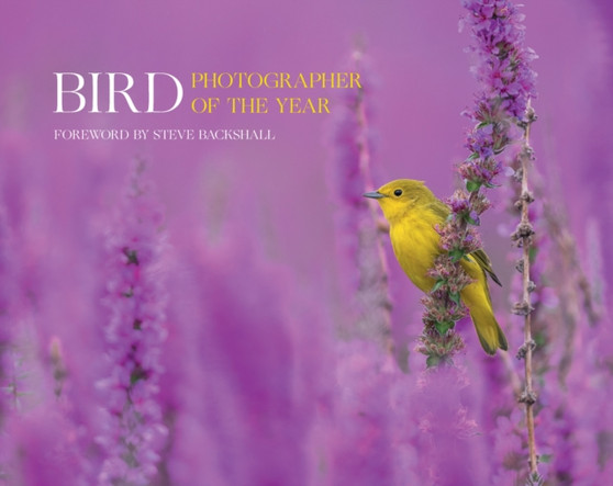 Bird Photographer of the Year : Collection 7 by Bird Photographer of the Year - Hardback