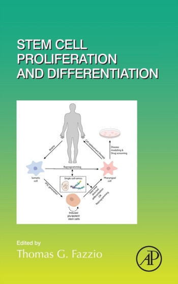 Stem Cell Proliferation and Differentiation : Volume 138 by Thomas G. Fazzio - Hardback