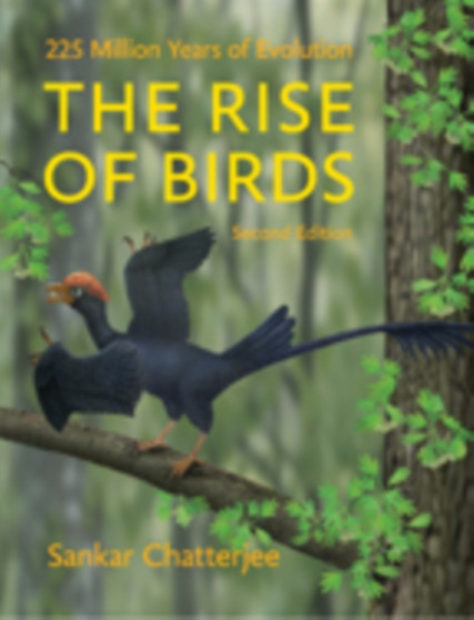 The Rise of Birds : 225 Million Years of Evolution by Sankar Chatterjee - Hardback