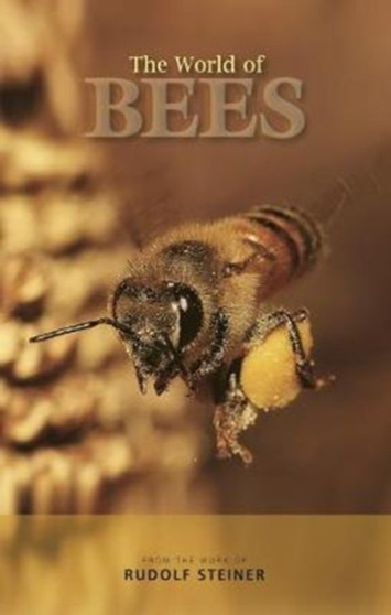 The World of Bees by Rudolf Steiner - Paperback