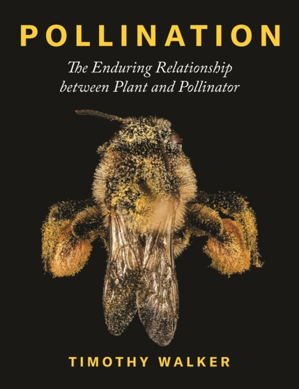 Pollination : The Enduring Relationship between Plant and Pollinator by Timothy Walker - Hardback
