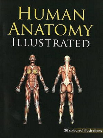 Human Anatomy Illustrated by B Jain Publishers - Paperback