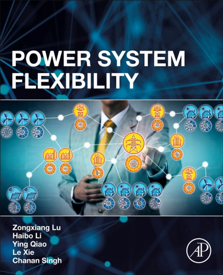 Power System Flexibility by Zongxiang Lu - Paperback