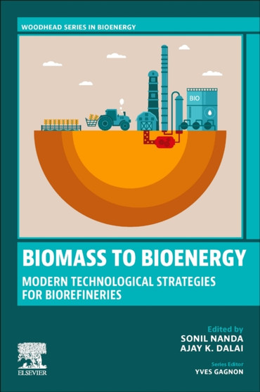 Biomass to Bioenergy : Modern Technological Strategies for Biorefineries by Sonil Nanda - Paperback