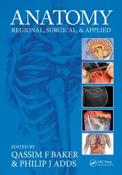Anatomy : Regional, Surgical, and Applied by Qassim F. Baker - Paperback