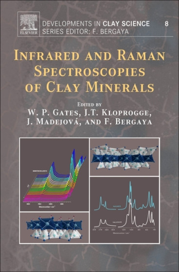 Infrared and Raman Spectroscopies of Clay Minerals : Volume 8 by Will Gates - Hardback