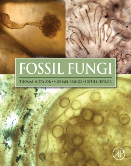 Fossil Fungi by Thomas N Taylor - Hardback