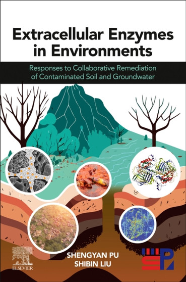 Extracellular Enzymes in Environments : Responses to Collaborative Remediation of Contaminated Soil and Groundwater by Shengyan Pu - Paperback