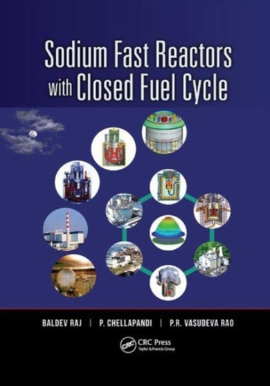 Sodium Fast Reactors with Closed Fuel Cycle by Baldev Raj - Paperback