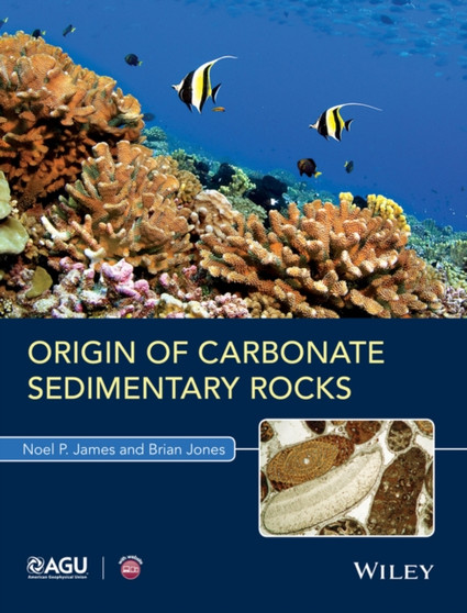 Origin of Carbonate Sedimentary Rocks by Noel P. James - Hardback