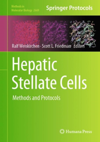 Hepatic Stellate Cells : Methods and Protocols : 2669 by Ralf Weiskirchen - Hardback