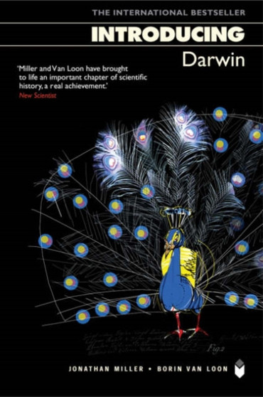 Introducing Darwin by Jonathan Miller - Paperback