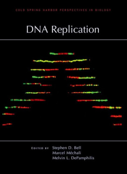 DNA Replication by Stephen D Bell - Hardback
