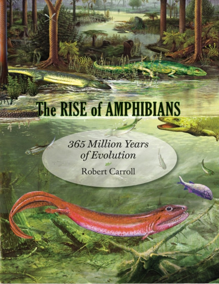 The Rise of Amphibians : 365 Million Years of Evolution by Robert Carroll - Hardback
