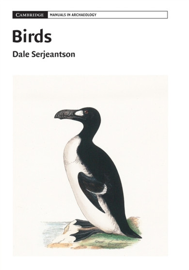 Birds by Dale Serjeantson - Paperback