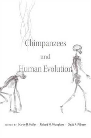 Chimpanzees and Human Evolution by Martin N. Muller - Hardback