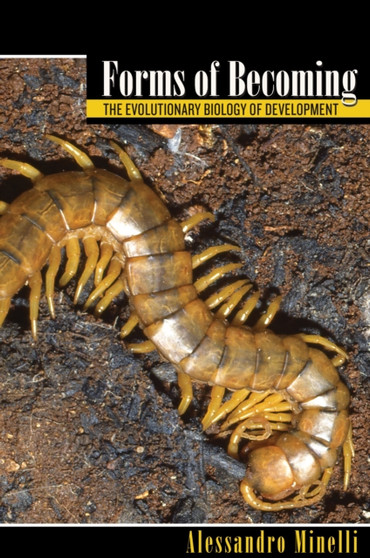 Forms of Becoming : The Evolutionary Biology of Development by Alessandro Minelli - Hardback