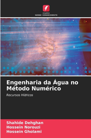 Engenharia da Agua no Metodo Numerico by Shahide Dehghan - Paperback