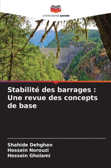 Stabilite des barrages : Une revue des concepts de base by Shahide Dehghan - Paperback