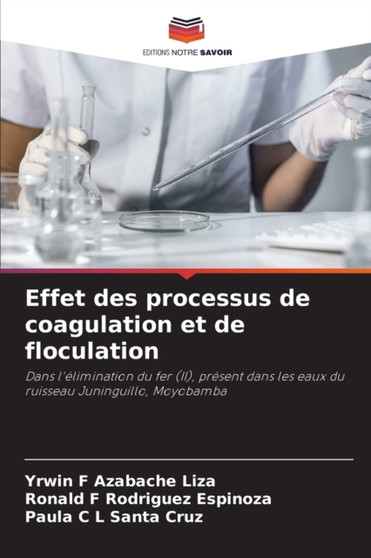 Effet des processus de coagulation et de floculation by Yrwin F Azabache Liza - Paperback