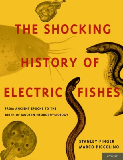 The Shocking History of Electric Fishes : From Ancient Epochs to the Birth of Modern Neurophysiology by Stanley Finger - Hardback