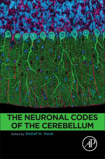 The Neuronal Codes of the Cerebellum by Detlef Heck - Paperback