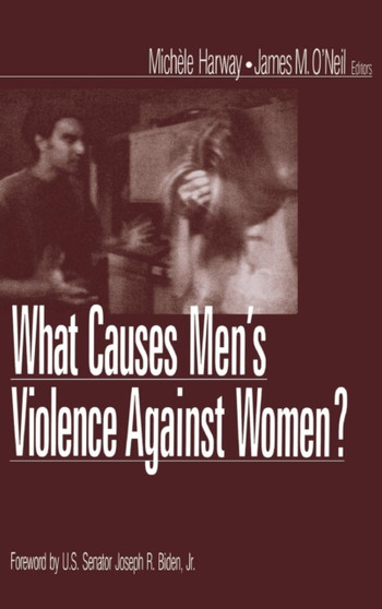 What Causes Men's Violence Against Women? by Michele Harway - Hardback