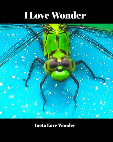 I Love Wonder by Ineta Love Wonder - Paperback
