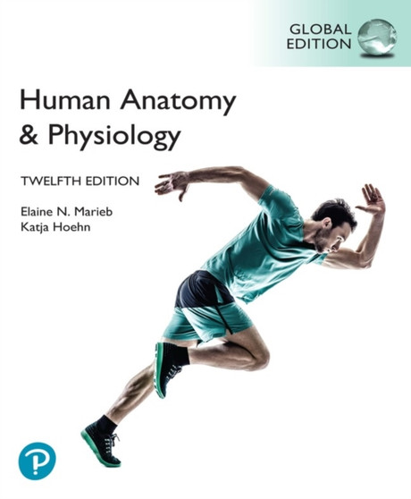 Human Anatomy & Physiology, Global Edition, (HB) by Elaine Marieb - Paperback