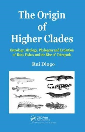 The Origin of Higher Clades : Osteology, Myology, Phylogeny and Evolution of Bony Fishes and the Rise of Tetrapods by Rui Diogo - Hardback