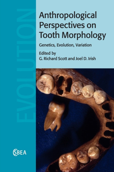 Anthropological Perspectives on Tooth Morphology : Genetics, Evolution, Variation by G.Richard Scott - Paperback