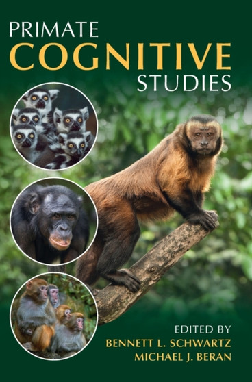 Primate Cognitive Studies by Bennett L. Schwartz - Hardback