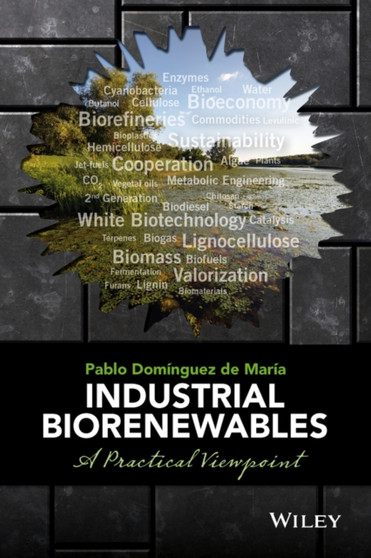 Industrial Biorenewables : A Practical Viewpoint by Pablo Dominguez de Maria - Hardback
