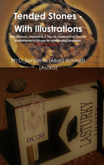Tended Stones - With Illustrations by Benjamin Schmidt - Hardback