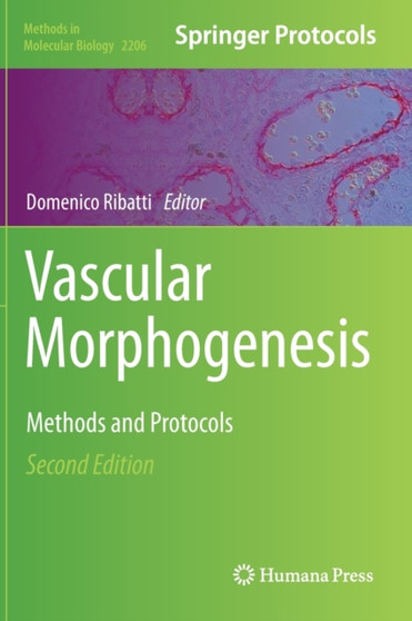 Vascular Morphogenesis : Methods and Protocols : 2206 by Domenico Ribatti - Hardback
