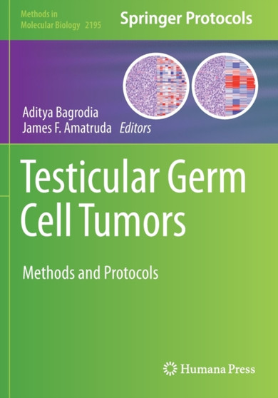 Testicular Germ Cell Tumors : Methods and Protocols : 2195 by Aditya Bagrodia - Paperback