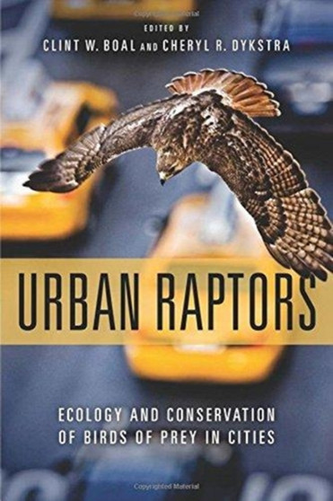 Urban Raptors : Ecology and Conservation of Birds of Prey in Cities by Clint Boal - Paperback