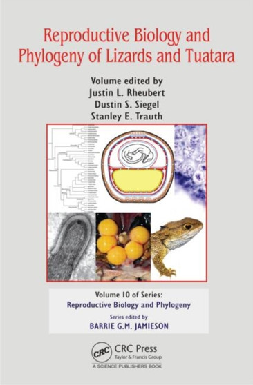 Reproductive Biology and Phylogeny of Lizards and Tuatara by Justin L. Rheubert - Hardback