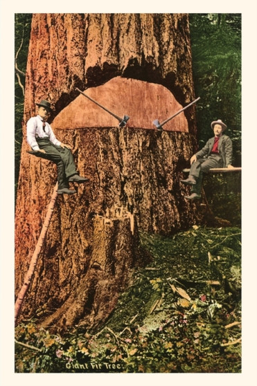 Vintage Journal Giant Fir Tree by Found Image Press - Paperback