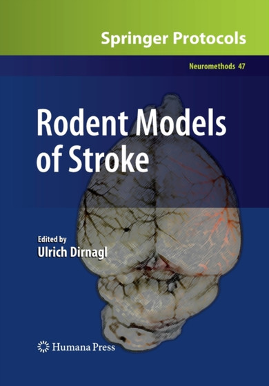Rodent Models of Stroke : 47 by Ulrich Dirnagl - Paperback