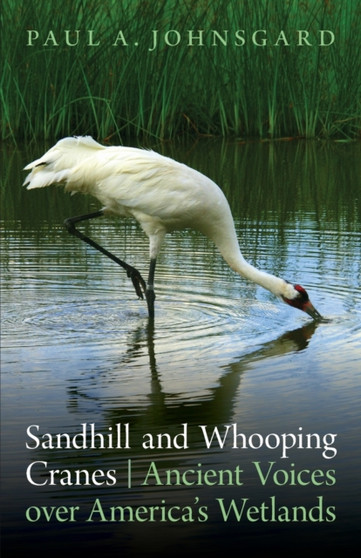 Sandhill and Whooping Cranes : Ancient Voices over America's Wetlands by Paul A. Johnsgard - Paperback