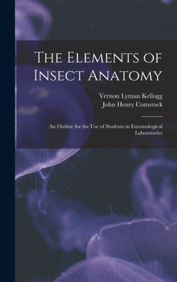 The Elements of Insect Anatomy : An Outline for the Use of Students in Entomological Laboratories by Vernon Lyman Kellogg - Hardback