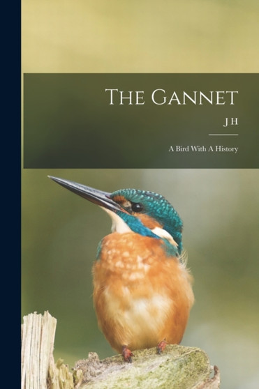 The Gannet : A Bird With A History by J H 1848-1922 Gurney - Paperback